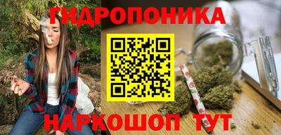 молекула духа Кандалакша